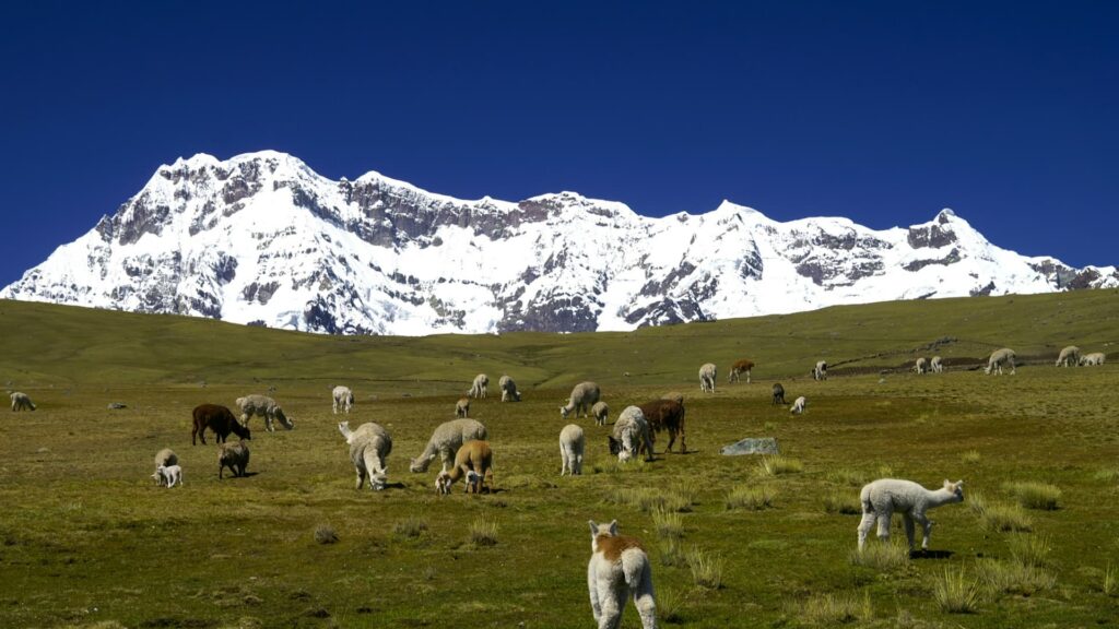 APU AUSANGATE TREK TO RAINBOW MOUNTAIN 4 Days / 3 Nights - Photo 2